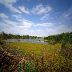 Nature Photography